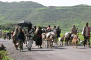 ethiopians_on_the_Way_to_Market